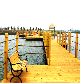 珠海橫琴濕地公園浮橋